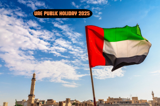 Fireworks and UAE flag celebrating National Day in Dubai